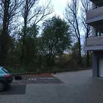 Thermal Forest 키슈쿤헐러시