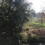 Thermal Forest 아파트 키슈쿤헐러시