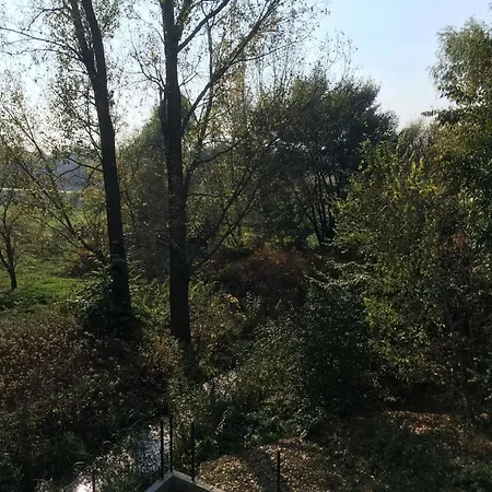 Apartman Thermal Forest