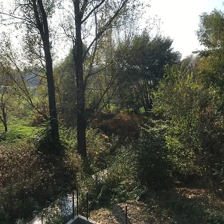 Apartman Thermal Forest *