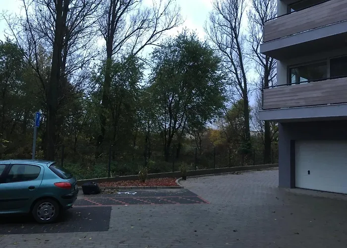 Thermal Forest קישקונהלש