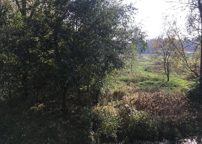 Thermal Forest דירה קישקונהלש