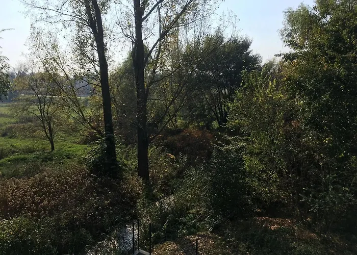 דירה Thermal Forest