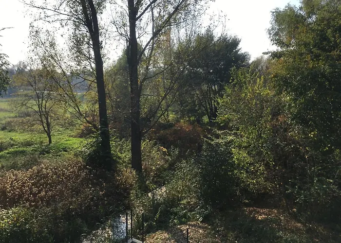 דירה Thermal Forest *