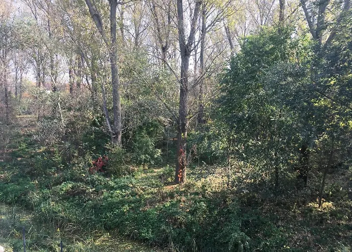 Thermal Forest דירה קישקונהלש